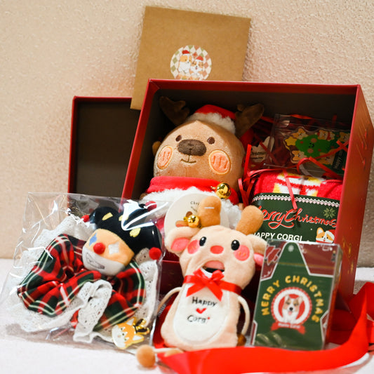 6pcs Christmas Original Gift Box - Dog Toys & Lifestyle Gadgets Holiday Gift Set