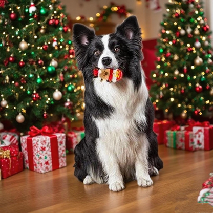 6pcs Christmas Original Gift Box - Dog Toys & Lifestyle Gadgets Holiday Gift Set