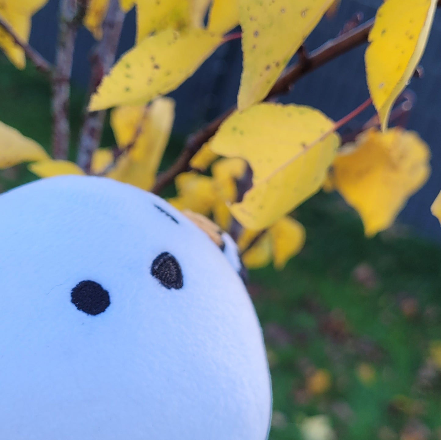 【Pearl Pre-sale】4 inches bird plush keychain toy（Shipping fee is included）