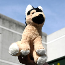 3 types 20cm black backed sheepdog plush toys-Free Worldwide Shipping
